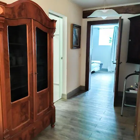 דירה Living-in-history: Meister Carl Dudeldorf